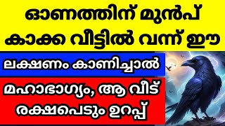 ഓണത്തിന് മുൻപ് കാക്ക വീട്ടിൽ വന്ന് ഈ ലക്ഷണം കാണിച്ചാൽ ഉറപ്പിച്ചോള്ളൂ നല്ലകാലം പിറക്കാൻ പോകുന്നു