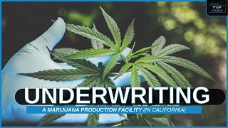 Underwriting a Marijuana Production Facility (In California)