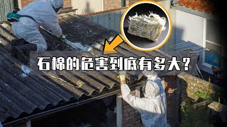 1克就含有上千根可吸入“钢针”，石棉的危害到底有多严重？