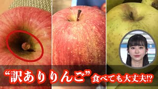 「ツル割れ」「さび果」は食べても大丈夫？ “訳ありりんご”の秘密