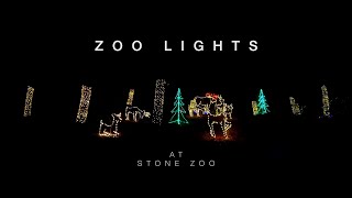 Zoo Lights | Winter Wonderland | Stunning Holiday Lights Display | Stone Zoo #zoolights #holiday