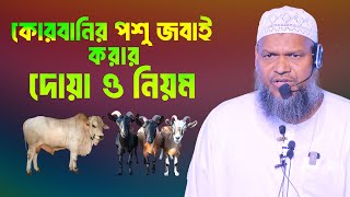 কোরবানির পশু জবাই করার দোয়া ও নিয়ম │শায়খ আব্দুর রাজ্জাক বিন ইউসুফ│Abdur Razzak Bin Yousuf new waz