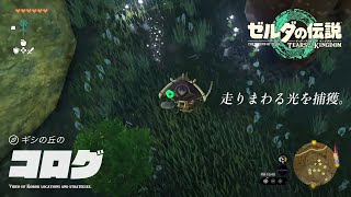 ギシの丘のコログ：走り回る光編【ゼルダの伝説 ティアーズ オブ ザ キングダム】