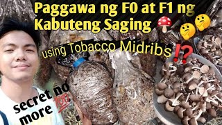 Paano gumawa ng binhi ng kabuteng saging gamit ang tobacco midribs