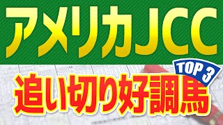 アメリカジョッキークラブカップ(AJCC)2023【追い切り】調教が良かった「トップ3」はこの馬🐴 一週前と最終追い切り、馬体映像からシミュレーション ～JRA競馬予想～