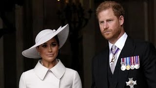 Prince Harry has been BRAINWASHED and left out to dry by Meghan Markle, says Angela Levin
