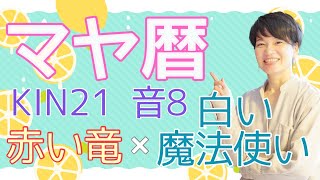 マヤ暦【KIN 21】赤い竜 白い魔法使い 音8 「親ガチャについてどう思う？」開運ポイント