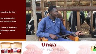 DAIRY FARMING:He Makes 90k per Month , after CoVid-19 Forced him to Quit Job at the Age of 24 year