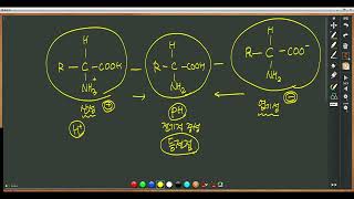 7.  단백질(영양사시험대비요약강의)