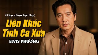 Thành Phố Mưa Bay, Tình Bơ Vơ - ELVIS PHƯƠNG | Liên Khúc Tình Ca Xưa Đặc Sắc