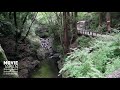 大阪　箕面大滝 4k minoh waterfall