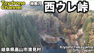 せせらぎ渓谷「西ウレ峠」〜せせらぎ街道〜