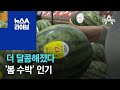 [경제 톡톡톡]더 달콤해졌다…‘봄 수박’ 인기 | 뉴스A 라이브