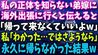 【スカッと】私の正体を知らない弟嫁に海外出張に行くと伝えると「帰って来なくていいよ？実家暮らしの寄生虫の顔なんか見たくもないw」私「わかった…ではお達者で」→永久に帰らなかった結果【修羅場】