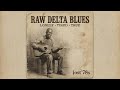 Casey Bill Weldon – Hawaiian Slide Delta Blues (1930–1938) | Lost Sessions