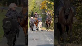 Trail ride with our friends and our 4 horses😍 #shorts #shortsvideo #horse #equestrian