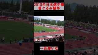 2019年日本選手権　着ぐるみ競争　#日本選手権