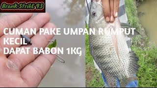 Mancing nila babon teknik lobang di sungai, hasilnya mantap.