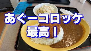 【沖縄北部探検 2020年】沖縄県名護市の「大瀬原龍神」を探検してみた！(2020年9月12日)