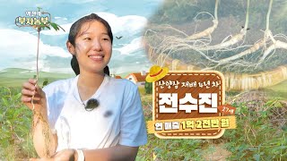 [200회] 산양삼 재배로 20대에 억대 농부로~! '경남 함양군 전수진 부자농부'