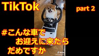 みんなかっこいい！#こんな車でお迎えに来たらだめですか 【#TikTok】part2