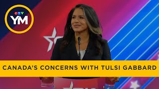 What Tulsi Gabbard As U.S. Intel Chief Could Mean For Canada | Your Morning