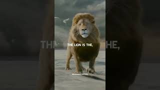 lion 🦁attitude💯😎 whatsApp status🔥🔥#shorts #motivation #youtube