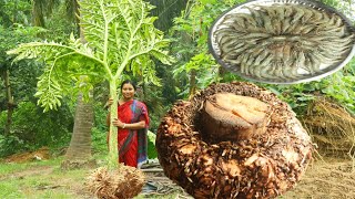 Farm Fresh OL KOCHU Pick Up \u0026 OL CHINGRI VAPE Recipe Cooking In Desi Village Style || bengali recipe