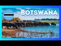 5 Destinos Incríveis para Viajar em Botswana