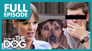 Victoria's About to Call Police on Abusive Dog Owner🚨 | Full Episode | It's Me or The Dog