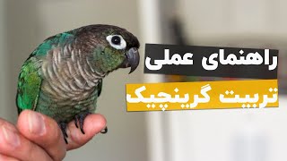 تربیت گرینچیک، راهنمای کامل و تصویری 🕶