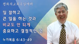 [평화의교회 주일예배] 