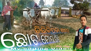 Chota Mora Gaon Ti odia video ଚିରିକିପଡା ଶାସନ chirikipada sasan