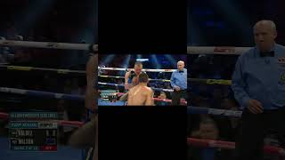 Oscar Valdez vs Liam Wilson - WBO Interim Junior Lightweight Title Fight Highlights