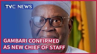 Professor Ibrahim Gambari confirmed as new Chief of Staff