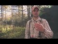 because they re wild a new york ruffed grouse hunting story project upland original film