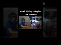 real fairy caught in camera *shocking*