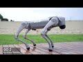 china shocked the world with new robot dogs unitree robotics deep robotics ai robots technology