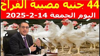 أسعار الفراخ اليوم | سعر الفراخ البيضاء اليوم الجمعة 14-2-2025 جمله وقطاعي