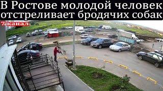 В Ростове молодой человек отстреливает бродячих собак.