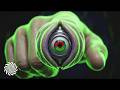 Protobase - Sensory [Video Clip / 8K]