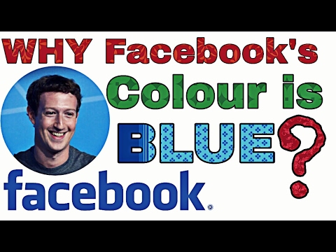 10 Exciting Facts About Mark Zuckerberg That No One Knows! [News #4 ...