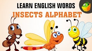 Insects | Learn Spelling | For Kindergarten and Toddlers in MagicBox