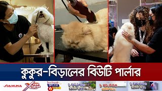 কুকুর-বিড়ালের জন্য বিউটি পার্লার! এই ঢাকা শহরেই | Pet Parlour | Jamuna TV