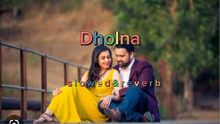 Dholna - Unplugged Cover | Rahul Jain | Dil To Pagal Hai | Lofi Music | [Slowed & Reverb]