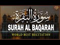 Surah Al Baqarah Full سورة البقره | Relaxing Calming & Heart Touching Quran