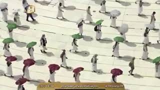 #Pilgrims in 1441 AH (#Hajj)حجاج عام 1441 هجري (#حج)