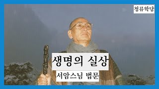 생명의 실상 - 서암스님 법문