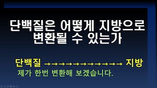 단백질은 어떻게 지방으로 변환될 수 있는가