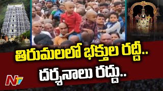 తిరుమలలో భక్తుల రద్దీ | Huge Devotees Rush At Tirumala Tirupati Temple | Ntv